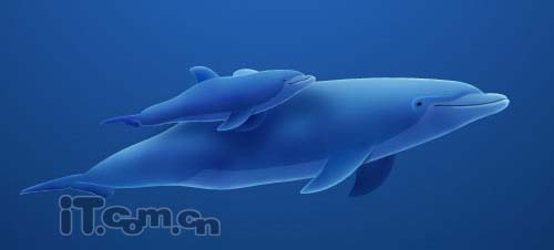 Photoshop将真实海豚照片制作成可爱的卡通海豚图片