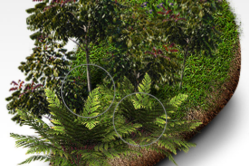 Photoshop 3D生态模型壁纸制作方法