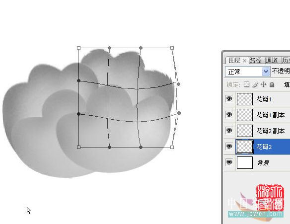 Photoshop鼠绘实例：手绘牡丹花的方法