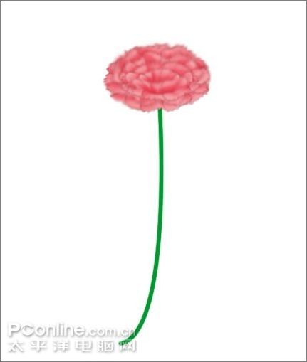 用Photoshop鼠绘一支康乃馨