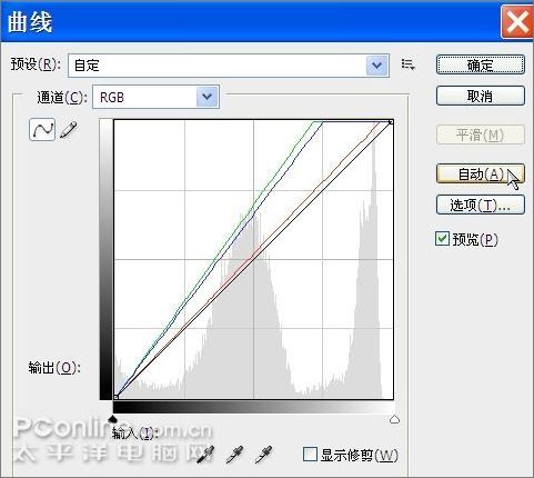 用Photoshop鼠绘一支康乃馨