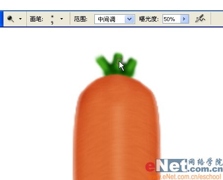 巧用Photoshop鼠绘鲜嫩的胡萝卜_软件云jb51.net转载
