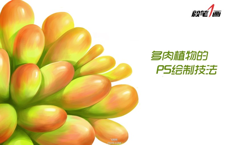 Photoshop鼠绘小清新多肉植物插画教程