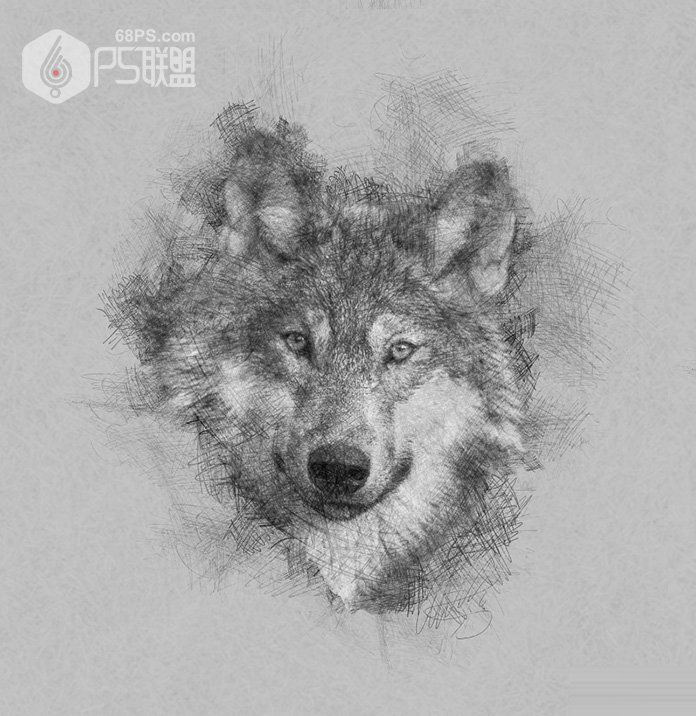 Photoshop手工绘制一张铅笔画效果的狼头照片教程
