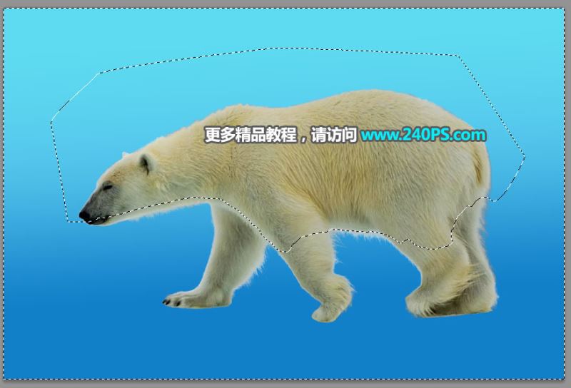ps创意合成北极熊与霞光完美结合的多次曝光效果教程