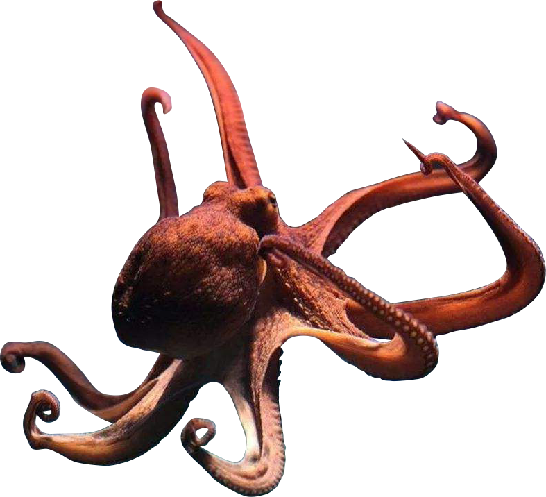 ps创意合成海水中长着章鱼身体的美女图片教程