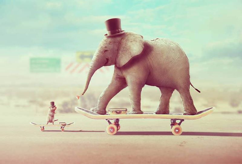 Photoshop怎样合成一张马戏团大象和老鼠滑板表演的图片?