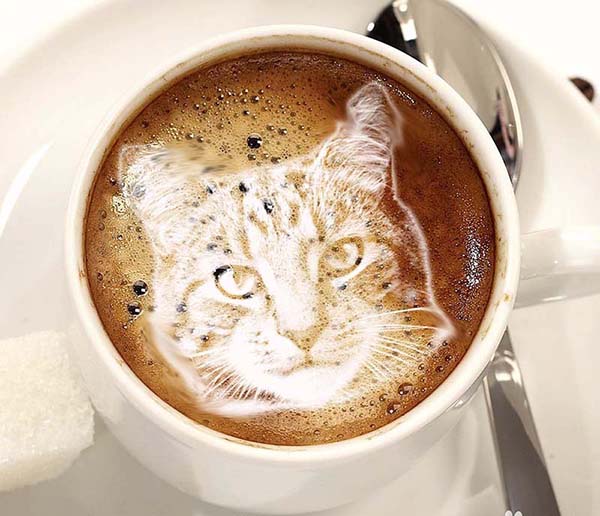 Photoshop怎么给拿铁咖啡合成猫咪头像效果?