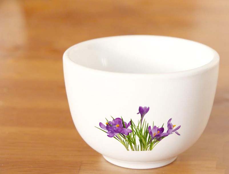 Photoshop怎么设计一款私人订制的兰花杯子效果图?