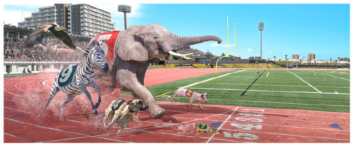 Photoshop合成有趣的各种动物赛跑场景