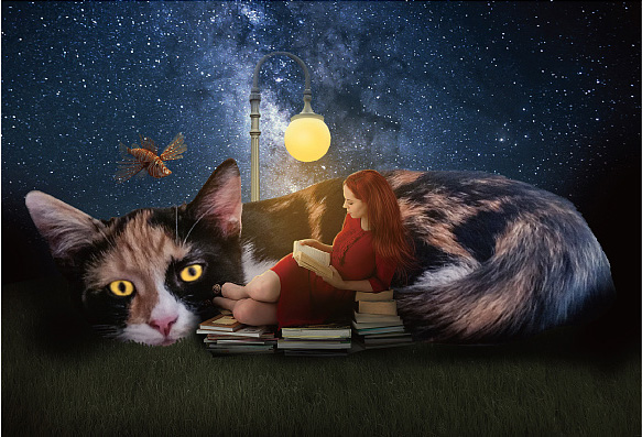 Photoshop合成星空下的女孩靠在大猫怀里阅读场景