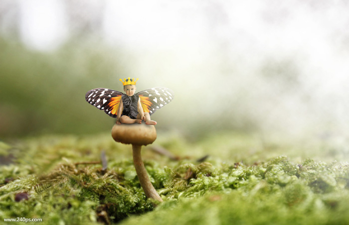 Photoshop合成长着翅膀坐在蘑菇上的可爱天使