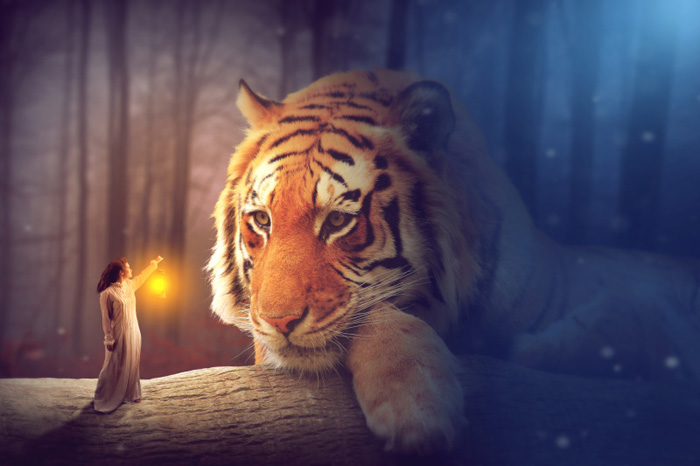 Photoshop合成夜色中的女孩提着灯笼和巨型老虎对视场景