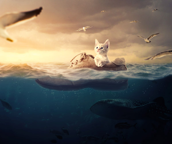 Photoshop合成制作乘鞋在大海上漂流的小猫