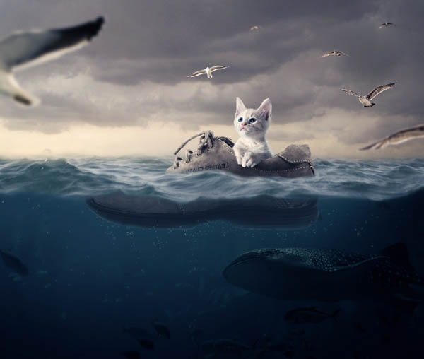 PS合成制作乘鞋在大海上漂流的小猫