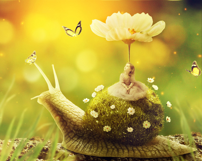 Photoshop合成童话中坐在蜗牛上的小花仙子