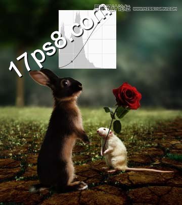 photoshop合成制作情人节小老鼠向松鼠送玫瑰花场景