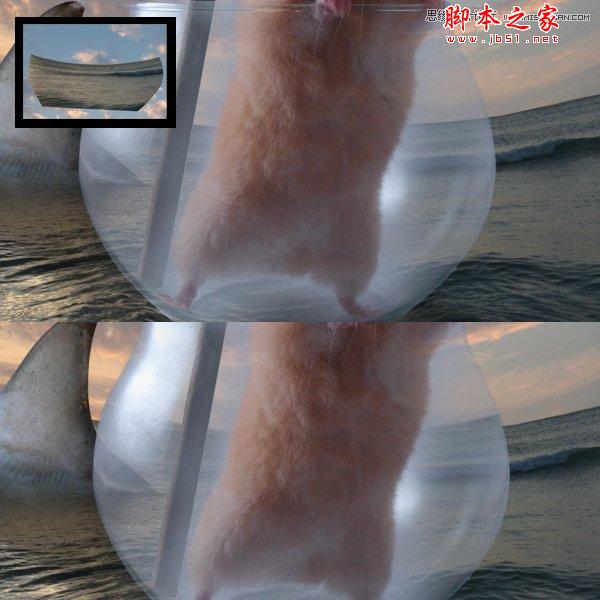 Photoshop合成制作可爱的海盗鼠船长教程