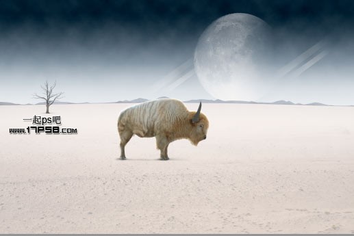photoshop合成在荒野星球沙漠中一头变异的野牛独自矗立的场景