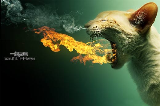 photoshop合成制作出嘴里喷火鼻孔冒白烟的变异猫咪