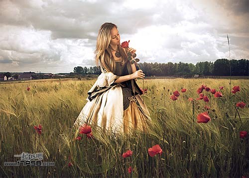photoshop合成黎明时站在草丛手拿玫瑰美女图片