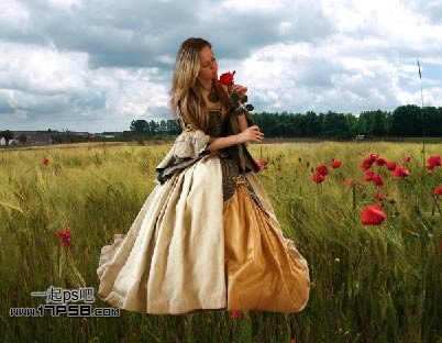 photoshop合成黎明时站在草丛手拿玫瑰美女图片