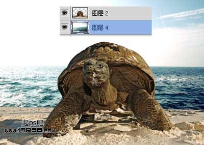 photoshop合成制作海龟岛­自然场景