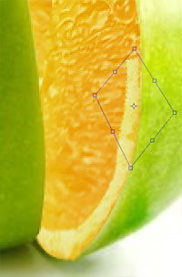 photoshop把橙子的果肉合成到苹果里面
