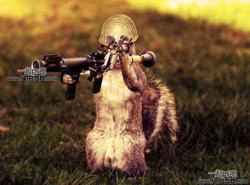 photoshop合成滑稽的松鼠士兵