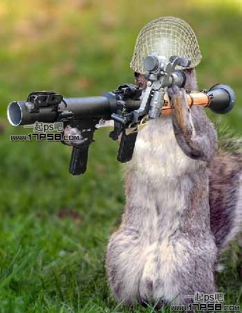 photoshop合成滑稽的松鼠士兵