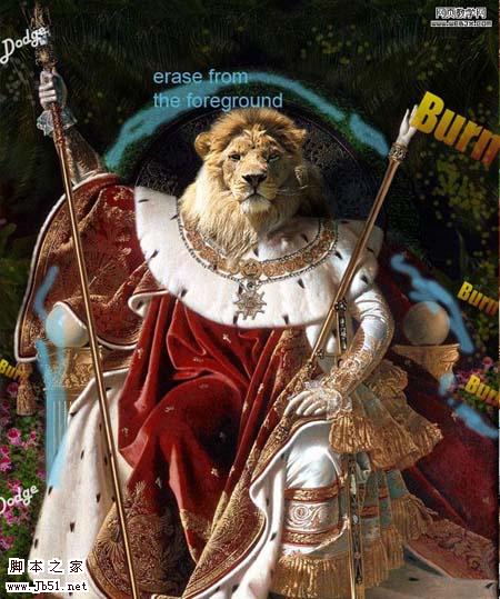 photoshop 合成创意的人身狮子王