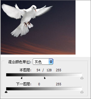 Photoshop照片合成：幻境中的和平鸽