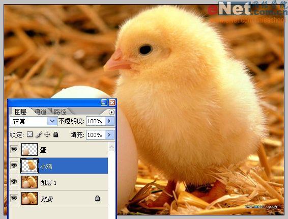 Photoshop合成“蛋壳里的小鸡”_软件云jb51.net转载(2)