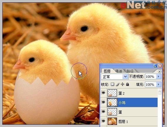 Photoshop合成“蛋壳里的小鸡”_软件云jb51.net转载(3)