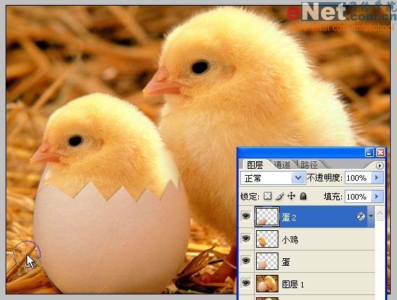 Photoshop合成“蛋壳里的小鸡”_软件云jb51.net转载(3)