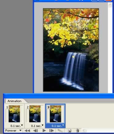 Photoshop制作秋风吹落树上的叶子动画