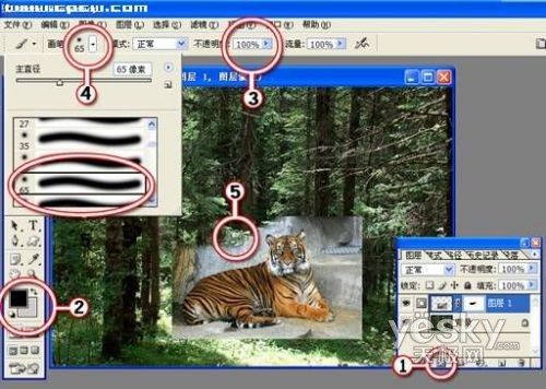 Photoshop图片合成实例：自然界中的老虎_软件云jb51.net整理转载