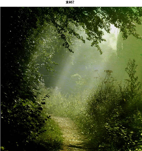 Photoshop经典合成：森林里的光照效果