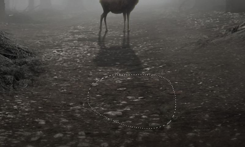 ps创意合成魔幻迷雾森林中精灵鹿王的特效图片教程