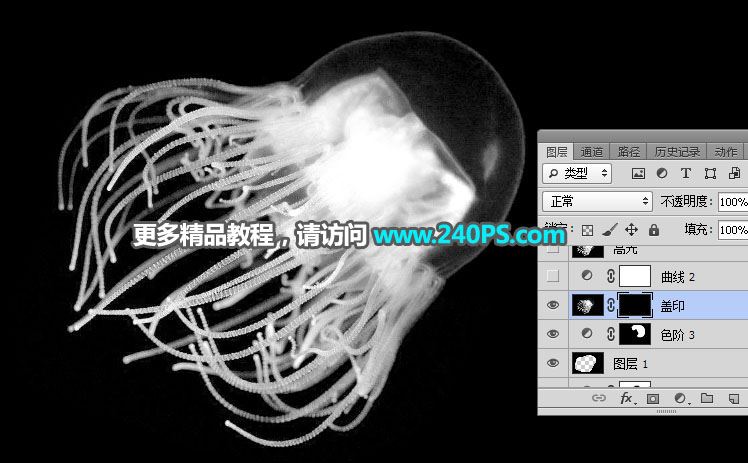 ps利用通道工具快速抠出透明的水母图片教程