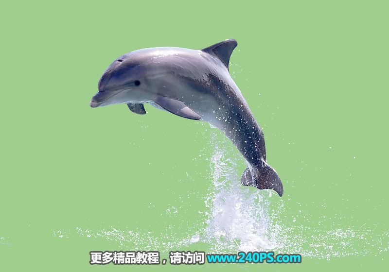 Photoshop完美抠图快速抠出跃出水面的海豚图片教程