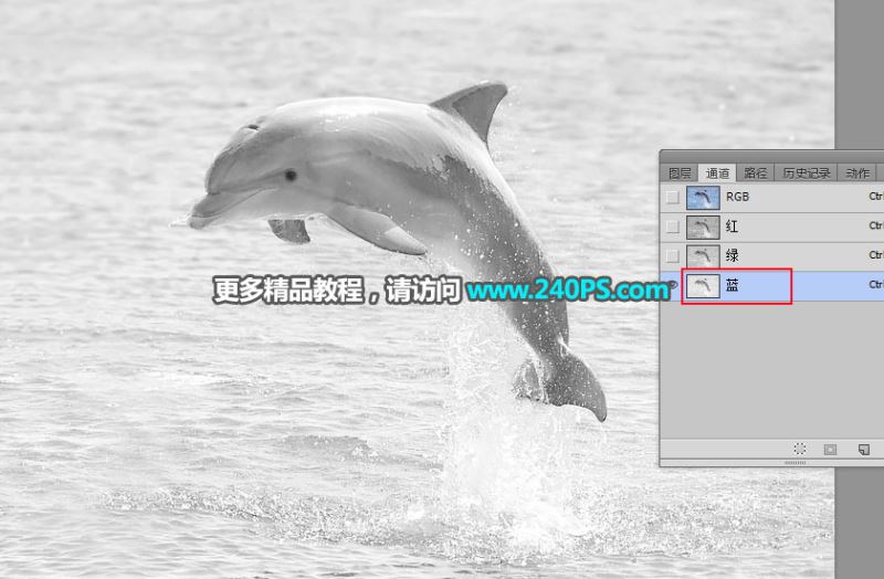 ps完美抠图快速抠出跃出水面的海豚图片教程
