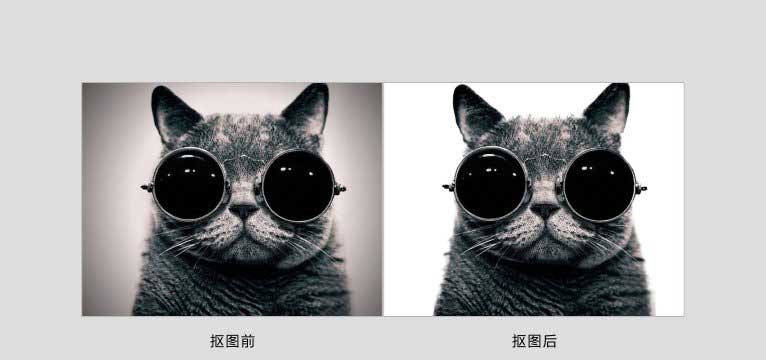 Photoshop巧用通道抠图完美抠出一张戴着眼镜的猫咪图片教程