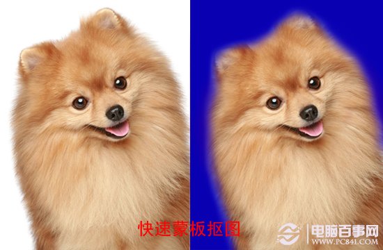 Photoshop抠图方法大全