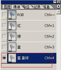 photoshop树木枝叶四种抠图的方法介绍