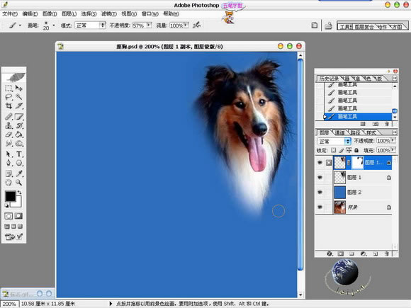 Photoshop精细抠图详解:抠出美丽的狗狗_软件云jb51.net网络整理