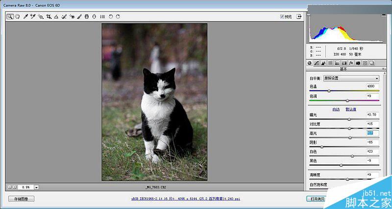 Photoshop调出色彩通透清晰的猫咪图片,PS教程,思缘教程网