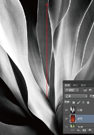 PhotoShop利用计算工具为图片调色教程