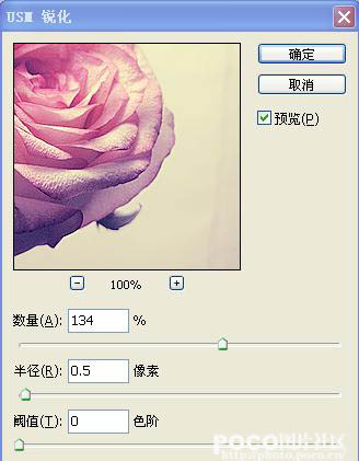 Photoshop 清晰艳丽的紫红色玫瑰花调色教程