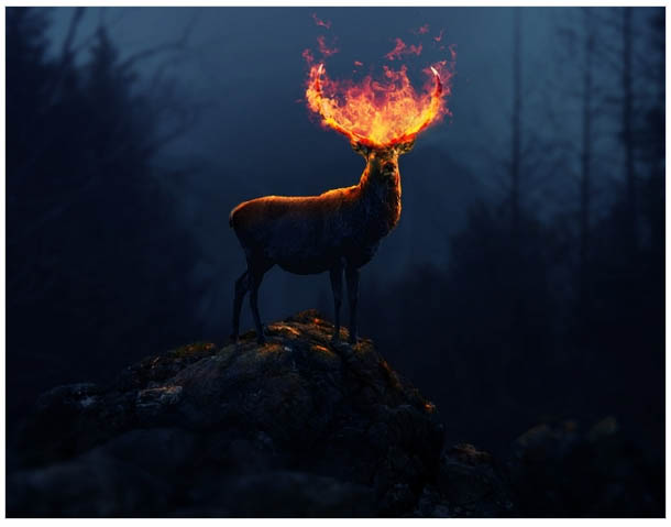 PS合成黑暗森林中的火焰鹿王